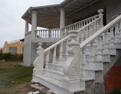 photo  20