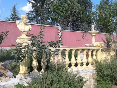 photo  14